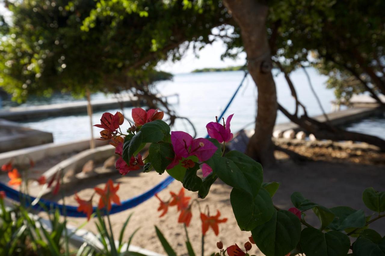 Isla Tijereto Hotell Isla Grande  Eksteriør bilde